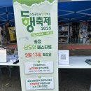 송정매일시장상가 주차타워 | 광주 가볼만한곳 광주송정역 남도맛페스티벌 9월13일 하루행사