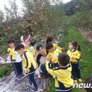 무창 농촌체험 휴양마을 이미지