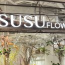 수원-0305 이미지