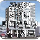 뉴타운메디컬약국 | [광명동] 광명동 신축 메디컬빌딩 임대 (광명역사거리 대단빌딩 입지 핵심 정리)