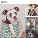 굿에잇데이