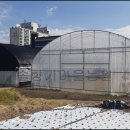 솔향기하우스 이미지