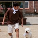 오징어 눈알. 빼고🤣😅😆 이미지