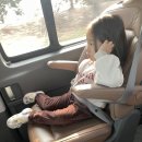 청송분식 | 6살 아이랑 당일치기 영양 여행 (2026.01.17) / 영양 꽁꽁 겨울 축제+청송 신동양 식당