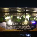 플레이스3355