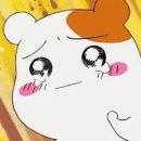 오르목장 | [답십리/카페 오르앤지드]아기자기한 공간과 보타닉한 공간 모두 즐길수 있는 유기농재료 카페 후기