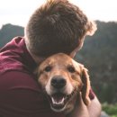 젤리펫살롱 이미지