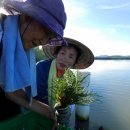 김영란농장 이미지