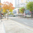 중로(보)2-1-5 이미지