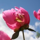 명지더나음한의원 이미지