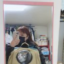 태평역 동물병원 이미지