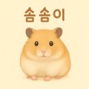 솜솜이네 | 햄스터 초보 집사 돌봄기 🐹 솜솜이와의 첫 만남