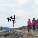 짝커피호프 이미지