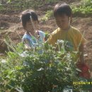 태인농장 이미지