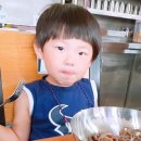 솔밭캠프장 티스토리