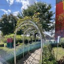 시민문화여성회관성환분관 | 누가 내 머리에 똥 쌌어? (천안시민문화여성회관 성환분관 +좌석팁+유아방석) - 아동뮤지컬/ 가족뮤지컬...