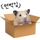 서쪽공방 이미지