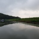 돌성저수지낚시터 이미지