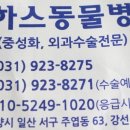 로하스일산병원 이미지