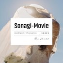 소나기 | 원주 본식DVD : 빌라드아모르 소나기무비 계약 후기