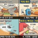 해피홈약국 네이버블로그