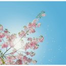 좋은날피부과의원 이미지