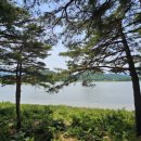 송지호철새관망타워(외부) 이미지