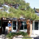 초당할머니순두부 이미지