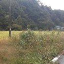 동량면사무소 이미지