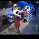 제주별빛누리공원 이미지