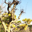 수침마을회관 이미지