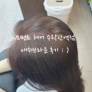 한결헤어 - 군산시 | 모먼트헤어 수락산역 미용실 한결 원장님 애쉬브라운 추천 리얼후기