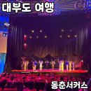 동춘 | 대부도 가볼만한 곳 [동춘서커스] 내돈내산 후기
