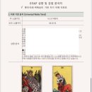 비디엠 | 부산 성향분석 추천｜비디엠컴퍼니 3 in 1 통합 리포트 후기