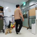 팔레트멍 이미지