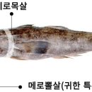 메로 이미지