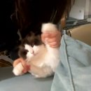 극단적 선택은 내가 이런 정신머리로도 계속 살아있기로 한게 극단적 선택이고
