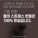 놀이터다이어트클럽