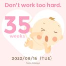35주 임신일기) 밀양 제일병원 막달 검사 후기 / 비용 / 소요시간