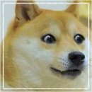 1222 | 로또 1222화 후기