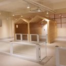 마루콩콩 이미지