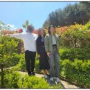 샤인빌 | 샤인빌 방문 후기