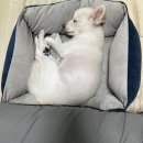 홈플러스익스프레스 봉천점 이미지