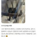베베세탁소