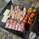 벨리타캠핑장
