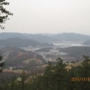 주산산림욕장 Daum카페