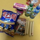 미륵대흥사 - 1206 | [2025.03.26~27] 미륵대흥사 템플스테이 | 휴식형 동물들과 함께하는 템플스테이