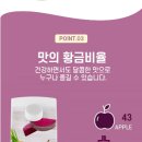 와우로 1L 티스토리