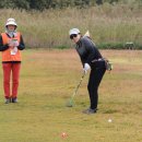 파크골프 이미지