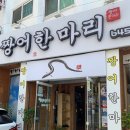 짱어한마리 이미지